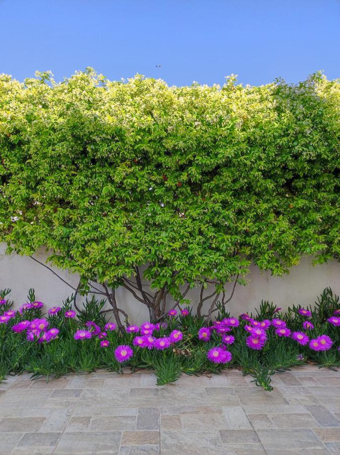 Terra Dei Plautii Villa ปุลซาโน ภายนอก รูปภาพ